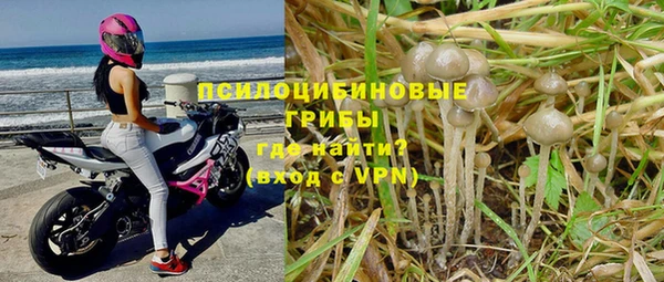 мяу мяу мука Новокубанск
