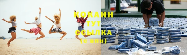 тгк Новодвинск
