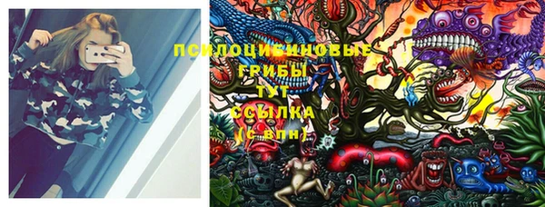 винт Новозыбков