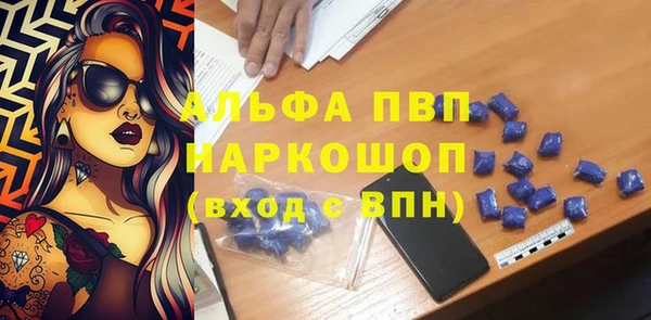 тгк Новодвинск