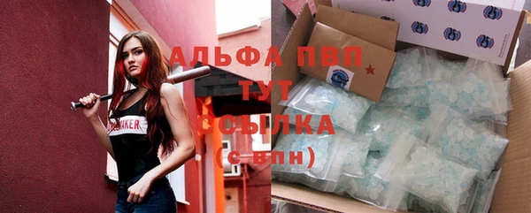 тгк Новодвинск